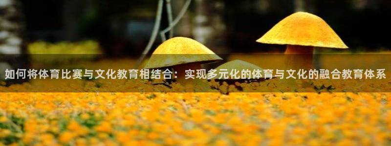意昂2代理注册