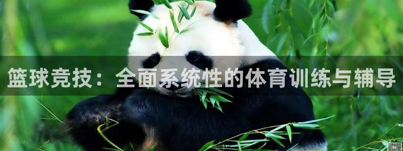 意昂2股份