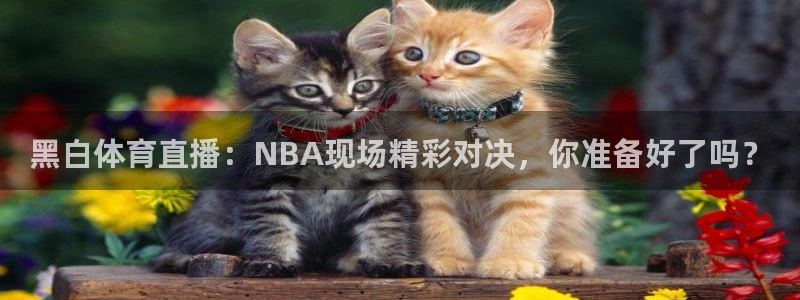 意昂2平台注册