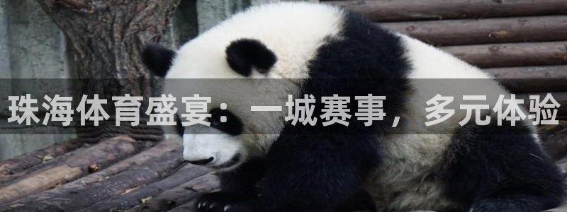 意昂平台
