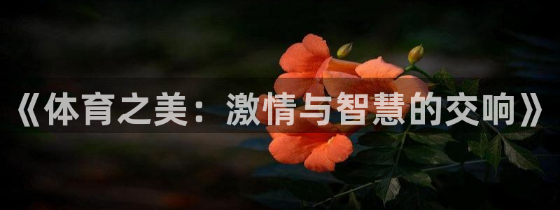 意昂2f平台注册