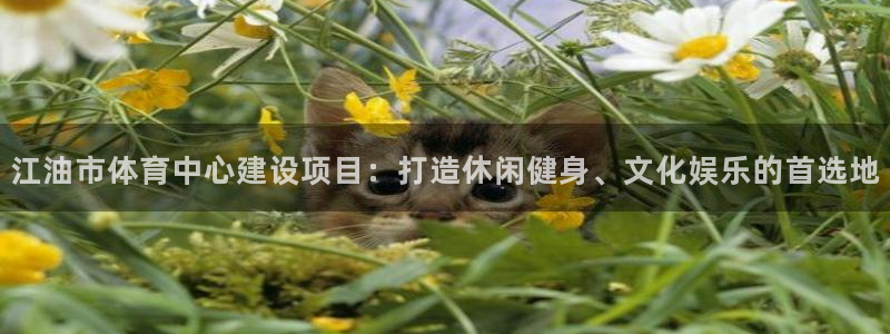 意昂新能源汽车科技有限公司